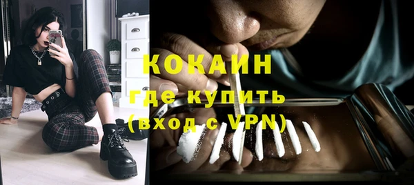 твердый Алзамай