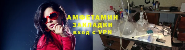 шишки Каменка