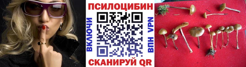Галлюциногенные грибы мицелий  Плавск 